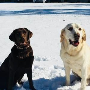 Meet your Posher, Tina